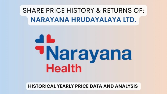 Narayana Hrudayalaya Share Price History (2016 To 2025)