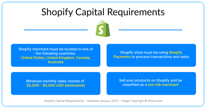 Everything You Need to Know About Shopify Capital - Wiyre