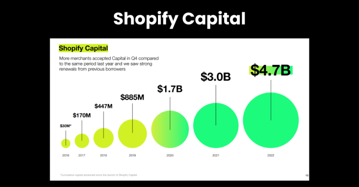 Everything You Need to Know About Shopify Capital - Wiyre Everything You Need to Know About Shopify Capital - Wiyre