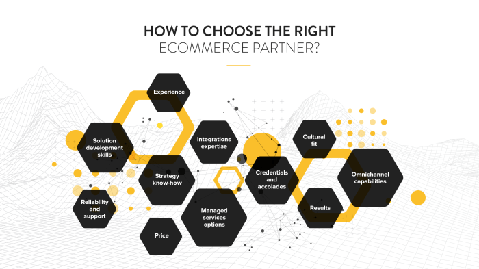 11 Tips for Choosing the Right Ecommerce Partner for Your Business