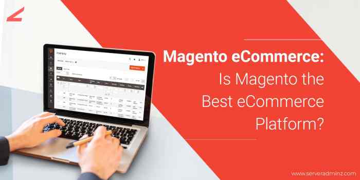 10 Top Magento Development Companies in UK (2025)